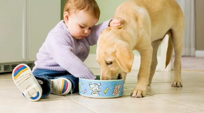 el niño come de un plato para perros y se infecta con gusanos